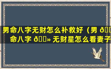 男命八字无财怎么补救好（男 🌼 命八字 🌻 无财星怎么看妻子情况）